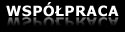 Firmy współpracujące z zespołem muzycznym